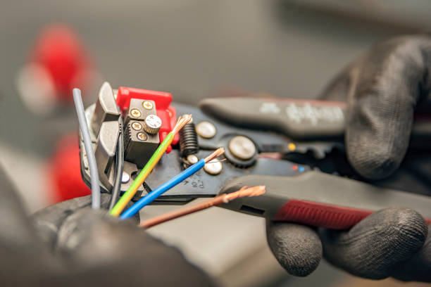 Best Electric Panel Repair  in Anamosa, IA