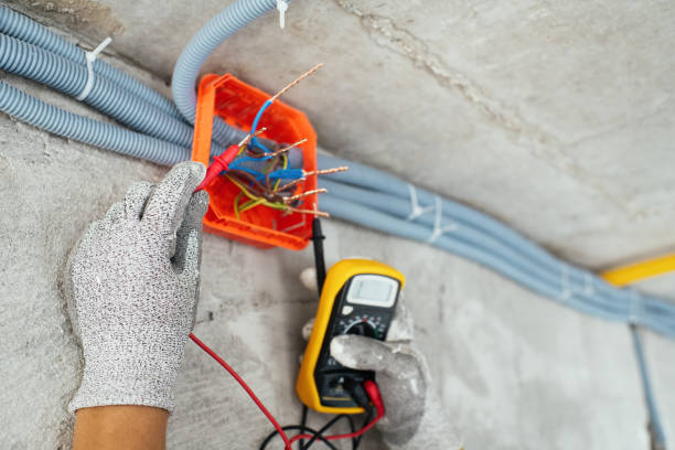 Best Local Electrician Companies  in Anamosa, IA